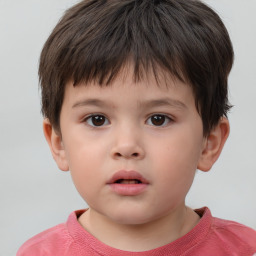 Neutral white child male with short  brown hair and brown eyes