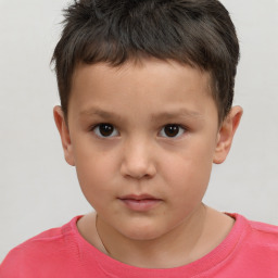 Neutral white child male with short  brown hair and brown eyes