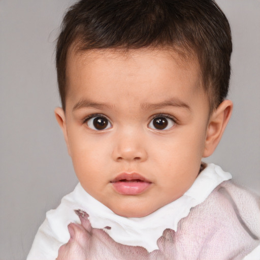 Neutral white child male with short  brown hair and brown eyes