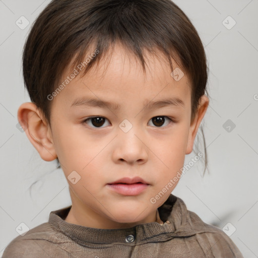 Neutral white child male with short  brown hair and brown eyes