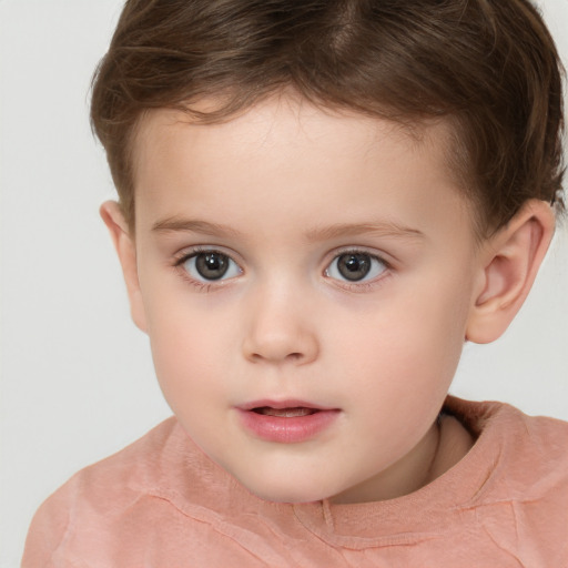 Neutral white child male with short  brown hair and brown eyes