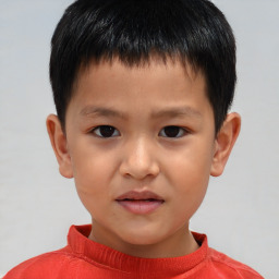 Joyful white child male with short  brown hair and brown eyes