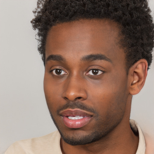 Neutral black young-adult male with short  brown hair and brown eyes