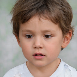 Neutral white child male with short  brown hair and brown eyes