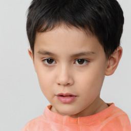 Neutral white child male with short  brown hair and brown eyes