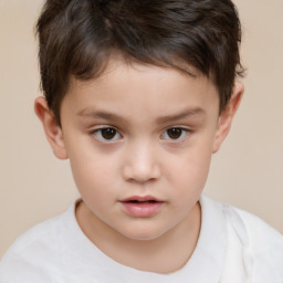 Neutral white child male with short  brown hair and brown eyes