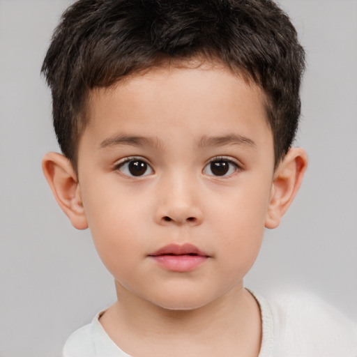 Neutral white child male with short  brown hair and brown eyes