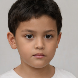 Neutral white child male with short  brown hair and brown eyes