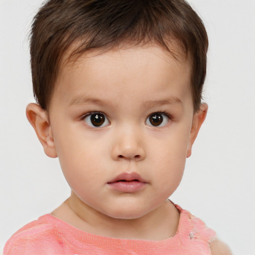 Neutral white child male with short  brown hair and brown eyes