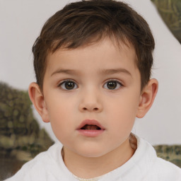 Neutral white child male with short  brown hair and brown eyes