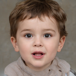 Neutral white child male with short  brown hair and brown eyes