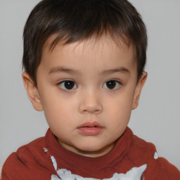 Neutral white child male with short  brown hair and brown eyes