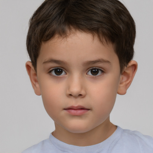 Neutral white child male with short  brown hair and brown eyes