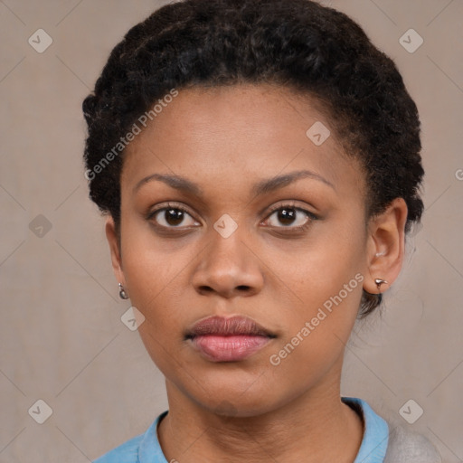 Neutral black young-adult female with short  brown hair and brown eyes