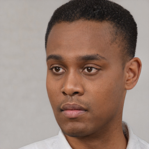 Neutral black young-adult male with short  black hair and brown eyes