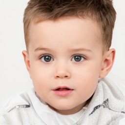 Neutral white child male with short  brown hair and brown eyes