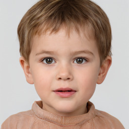 Neutral white child male with short  brown hair and brown eyes