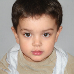 Neutral white child male with short  brown hair and brown eyes