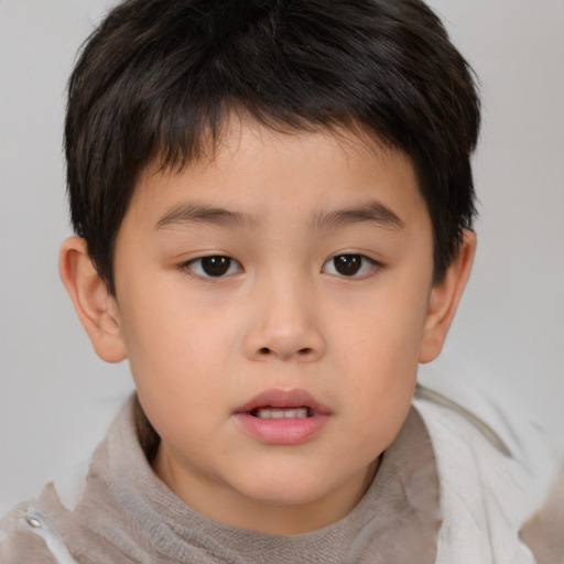 Neutral white child male with short  brown hair and brown eyes