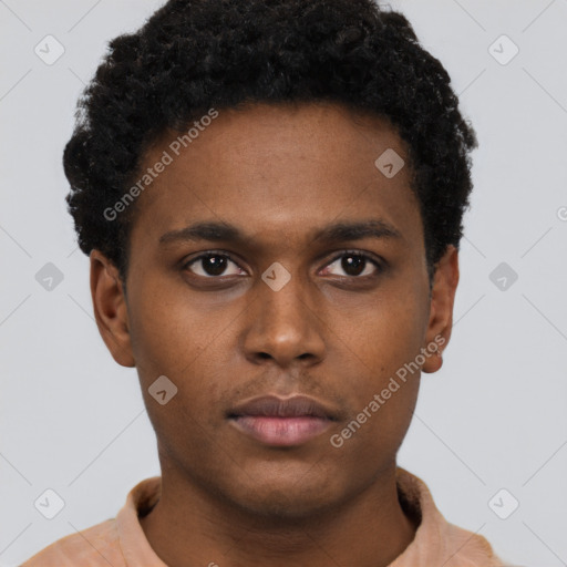 Neutral black young-adult male with short  brown hair and brown eyes