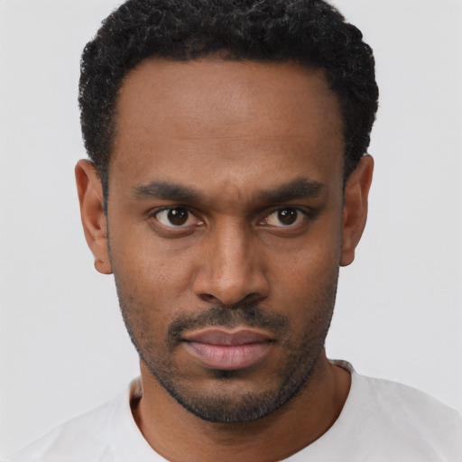 Neutral black young-adult male with short  black hair and brown eyes