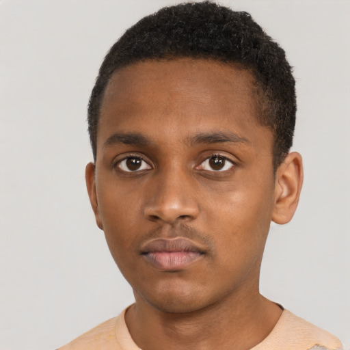 Neutral black young-adult male with short  black hair and brown eyes