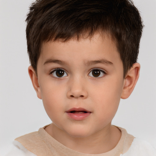 Neutral white child male with short  brown hair and brown eyes