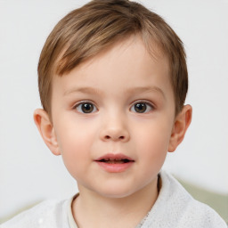 Neutral white child male with short  brown hair and brown eyes
