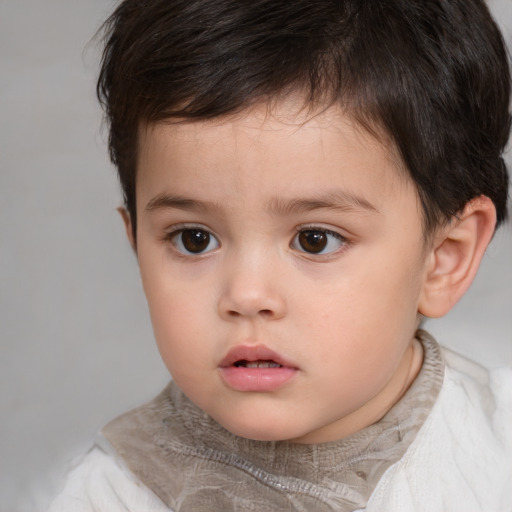 Neutral white child male with short  brown hair and brown eyes