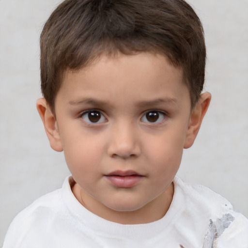 Neutral white child male with short  brown hair and brown eyes