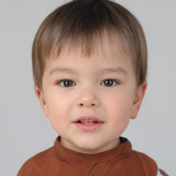 Neutral white child male with short  brown hair and brown eyes