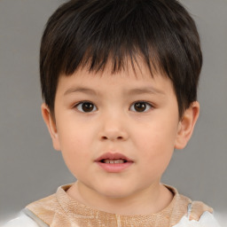 Neutral white child male with short  brown hair and brown eyes