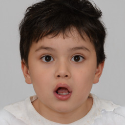 Neutral white child male with short  brown hair and brown eyes