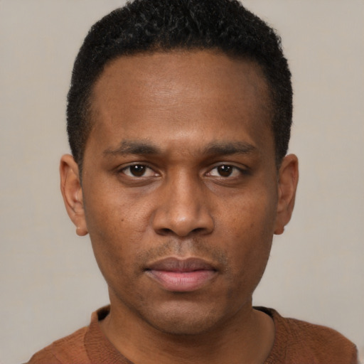 Neutral black young-adult male with short  black hair and brown eyes