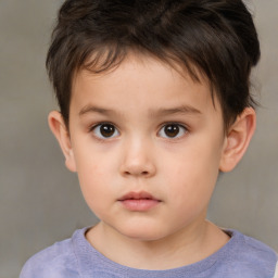 Neutral white child male with short  brown hair and brown eyes