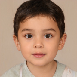 Neutral white child male with short  brown hair and brown eyes