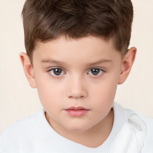 Neutral white child male with short  brown hair and brown eyes