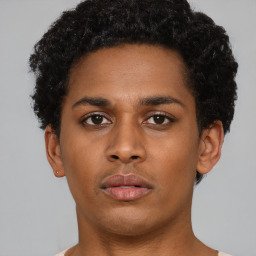 Neutral black young-adult male with short  brown hair and brown eyes