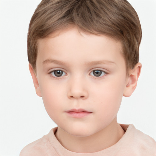 Neutral white child male with short  brown hair and brown eyes