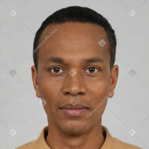 Neutral black young-adult male with short  black hair and brown eyes