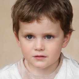 Neutral white child male with short  brown hair and brown eyes