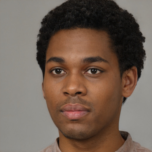 Neutral black young-adult male with short  black hair and brown eyes