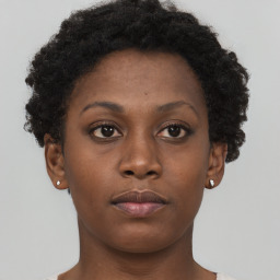 Neutral black young-adult female with short  brown hair and brown eyes