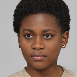 Neutral black young-adult female with short  brown hair and brown eyes