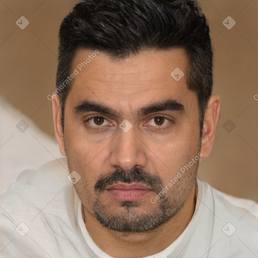 Joyful white adult male with short  black hair and brown eyes