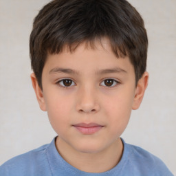 Neutral white child male with short  brown hair and brown eyes