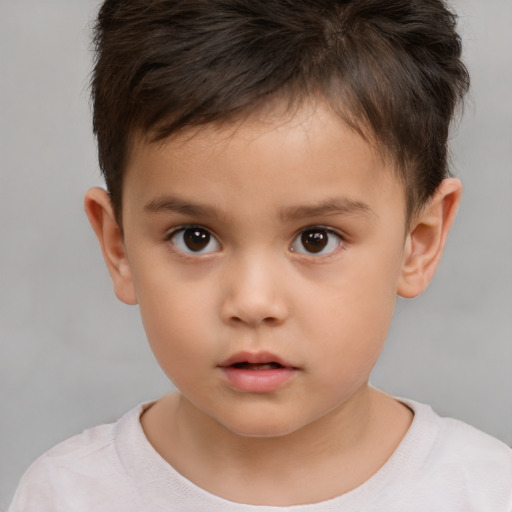 Neutral white child male with short  brown hair and brown eyes