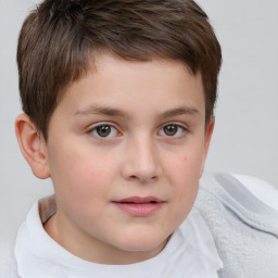 Neutral white child male with short  brown hair and brown eyes