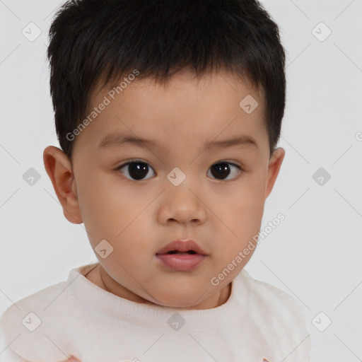 Neutral white child male with short  brown hair and brown eyes