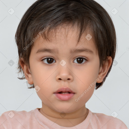 Neutral white child male with short  brown hair and brown eyes